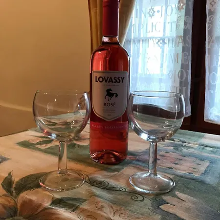 Elena Apartament Szentgyorgyvar